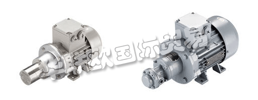 　　SCHERZINGER泵技術(shù)公司制造的移動(dòng)齒輪泵：物理和個(gè)人。