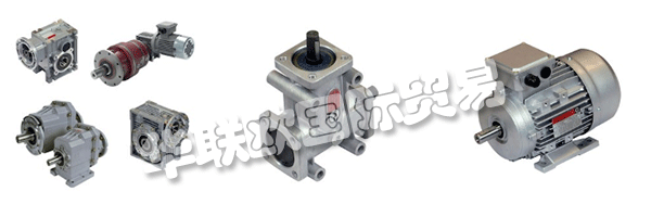 財產(chǎn)的意愿都是維持和鞏固集團的領(lǐng)導(dǎo)地位CHIARAVALLI，