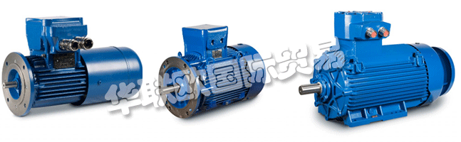 Regal成立于1954年，擁有CEMP?Srl，是意大利首批生產(chǎn)防爆防爆電機的公司之一。