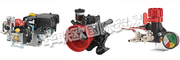 這ANNOVI REVERBERI提出了他多年，因為它開始收緊與認(rèn)為真正的合作伙伴，