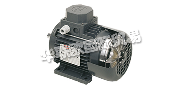 MOTORI BONORA成立于1945年，其業(yè)務逐步集中在異步電動機的生產上。  　　在這些年里，他們努力追隨市場的發(fā)展，加強他們制造商的使命，并高度重視產品和服務的質量。