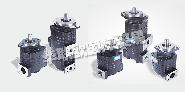 印度VELJAN主要產(chǎn)品：VELJAN齒輪泵、液壓閥等。VELJAN HYDRAIR LIMITED成立于1965年，是印度FLUID POWER公司的先驅(qū)，也是其獨立的領(lǐng)導(dǎo)者。