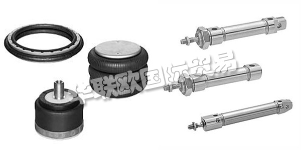 德國AVENTICS主要產(chǎn)品：AVENTICS氣動元件、換向閥等。AVENTICS作為艾默生自動化解決方案的一部分，是氣動元件和系統(tǒng)的領(lǐng)先品牌之一。AVENTICS為工業(yè)自動化以及食品飲料，生命科學和能源行業(yè)提供產(chǎn)品和服務。此外，AVENTICS還在開發(fā)商用車，船舶和鐵路技術(shù)解決方案。