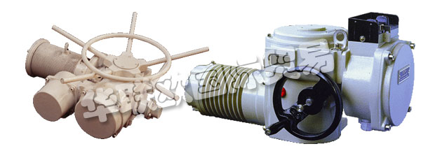 歐洲捷克ZPA-PECKY公司的產(chǎn)品主要有：ZPA PECKY執(zhí)行器、ZPA PECKY電機(jī)、伺服電機(jī)、單回轉(zhuǎn)執(zhí)行器、多回轉(zhuǎn)執(zhí)行器、杠桿伺服電機(jī)、線性伺服電機(jī)、伺服電機(jī)的配置器、ZPM變速箱、Mastergear變速箱、單轉(zhuǎn)伺服電機(jī)、多圈伺服電機(jī)、推力伺服電機(jī)。