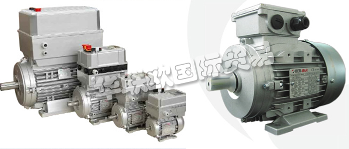 意大利BERMAR公司的主要產(chǎn)品包括：意大利BERMAR電機(jī)、BERMAR電動(dòng)機(jī)、異步電機(jī)、異步電動(dòng)機(jī)、永磁發(fā)動(dòng)機(jī)、逆變器、伺服通風(fēng)電動(dòng)機(jī)、伺服電動(dòng)機(jī)、工業(yè)洗衣機(jī)電動(dòng)機(jī)、單相電動(dòng)機(jī)、DRIVEJET鼓風(fēng)機(jī)、高效電機(jī)、泵、風(fēng)扇、工業(yè)壓縮機(jī)。
