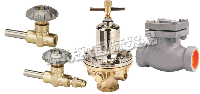 美國(guó)REGO公司主要供應(yīng)：美國(guó)REGO閥門(mén),REGO截止閥，低溫閥，止回閥，安全閥，閘閥，分流閥，減壓閥，調(diào)壓器等產(chǎn)品。