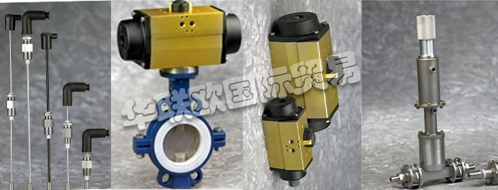 低價銷售意大利VALAS HOFMANN電導(dǎo)率探頭定量泵