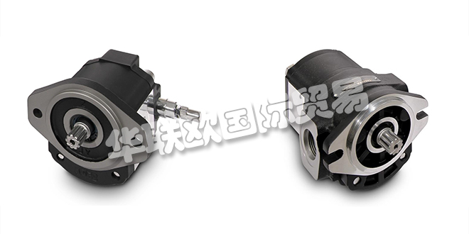 CASAPPA馬達,意大利CASAPPA馬達