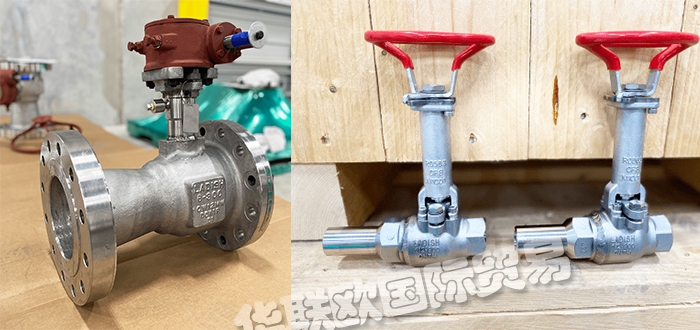 LADISH,美國(guó)LADISH VALVES球閥止回閥