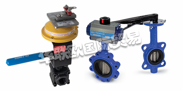 美國STRAHMAN閥門產品描述（STRAHMAN閥門產品功能和選項）